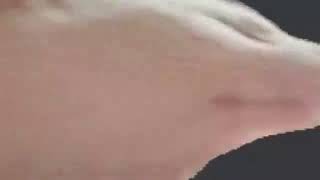 Kafa Sallayan Kedy...