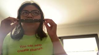 Harmonica Solo