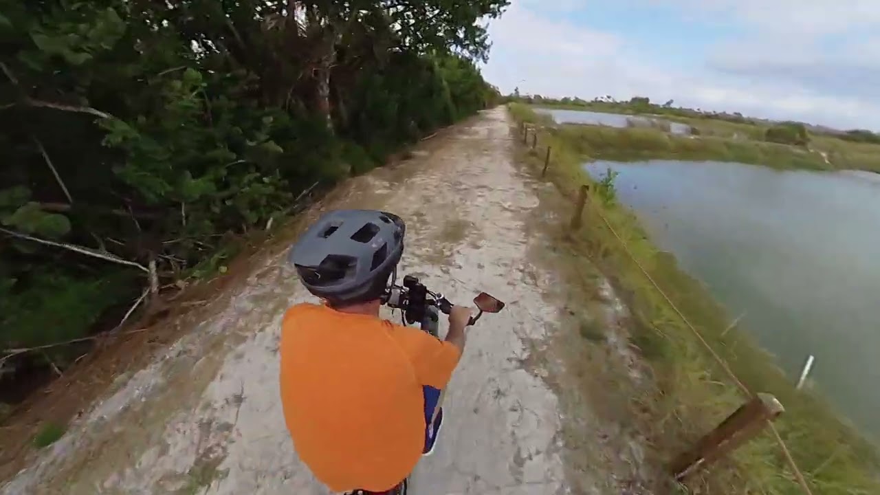 Pond Apple & Shipley Trail - 4K 360 - 12/02/25