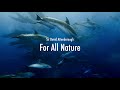 David attenborough  for all nature