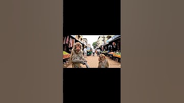 Monkey Vlogs #ai #monkey #vlogs #shorts #telugu