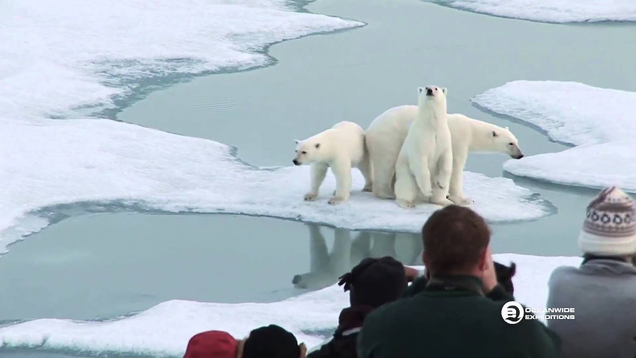 We are Oceanwide Expeditions