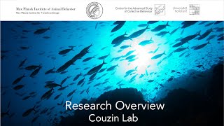 Research Overview