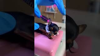 You Two Are Both Adorable.