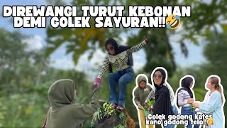 ENAK URIP NANG NDESO BUTUH JANGANAN GARI NGERAH - IKI TANDURANE DULURKU ‼️