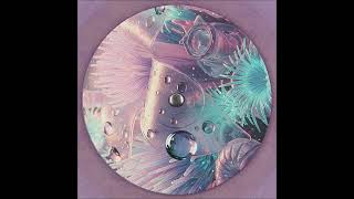 Fabrizio Lapiana - 1002B [ATTIC030]