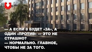 Администрация Фрунзенского района забыла отключить звук на стриме