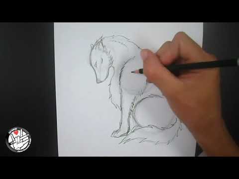 Video: Come Disegnare Un Lupo In Più Fasi