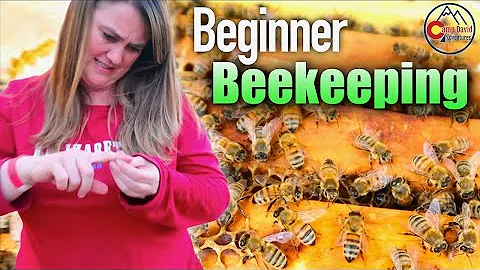 HOW TO START BEEKEEPING! Learning the hard way! ~AND a MOCK TRIAL to remember!~