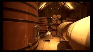 Ram's Gate Winery