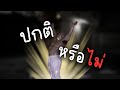 หรือกูที่ผิดปกติ | Your Take Out