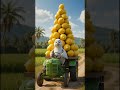 "Garmi Se Pareshan Kisan  | Kabootar Ne Bachaya #aistory#kisan#kabooter#garmi#pareshan