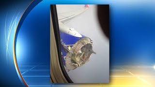 Southwest plane suffers engine problem, forces emergency landing in Pensacola