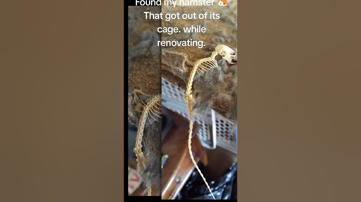 #viral #hamster #dead #bones #