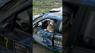 Il Na Pas Apprécié Quon Le Filme Ôle