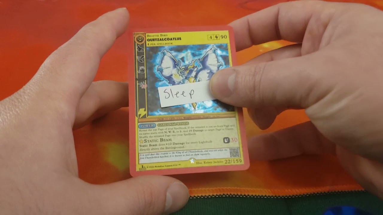 Meta Zoo Effects Explained