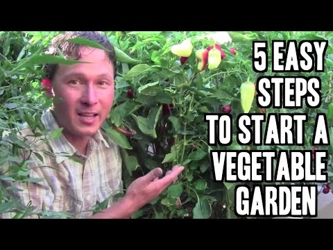 watershed 5 Easy Steps to Start a Vegetable Garden in Las Vegas or Anywhere