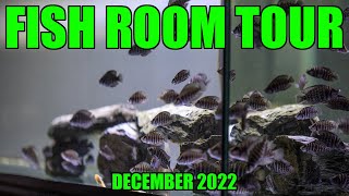 Got them breeding again!! December 2022 Fish Room Tour
