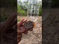 Survival Skills SMART idea and USEFUL soap #outdoors #bushcraft #camppi