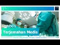 Manajemen Terjemahan Medis Globibo |Medical Translation Process by Globibo