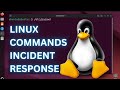 Essential Linux Commands for Incident Response 🚨 | SOC Analyst Toolkit
