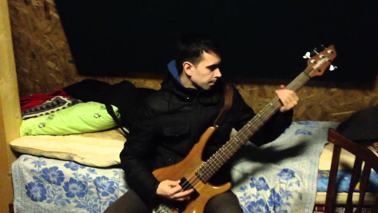 Dynamic Paradise - бас и барабаны seven