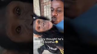 funny shorts #shorts #viralvideos #trendingvideo #monkey #reels #viralshorts #trendingshorts