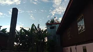 Download Lagu pasukan langit vs Tarik senja revisi responx masih awet MP3