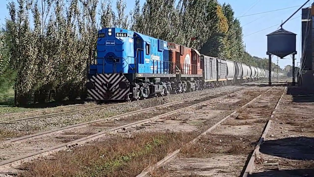 MAQUINAS EN TANDEN LA 8464 Y 8499 EN SU MAXIMA POTENCIA !!