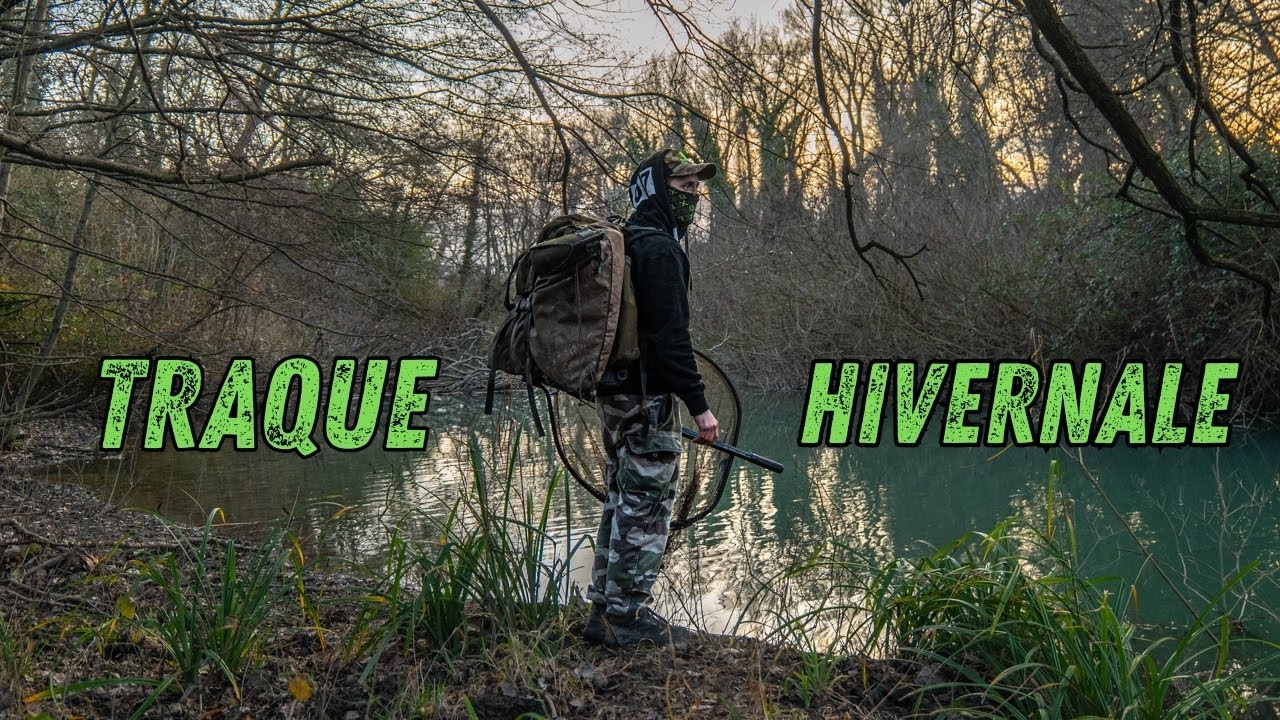 Traque d'hiver sur un bras du Rhône ~ Pêche de la carpe