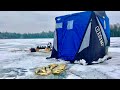 Ice Fishing for Crappie So AGGRESSIVE you can catch them with a BARE HOOK!