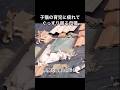 子猫の育児に疲れてぐっすり眠る母猫(人間の母親も同じ?)