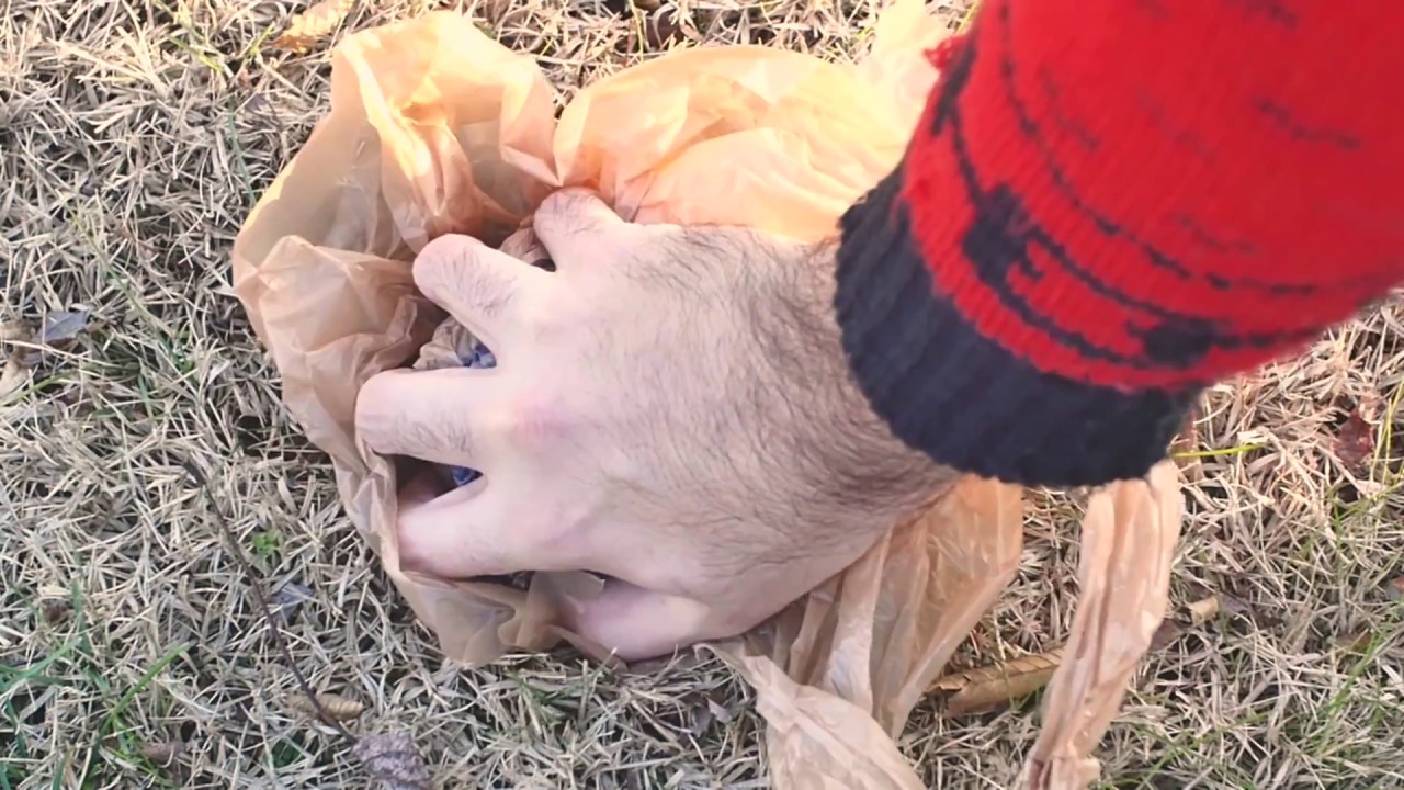 Noseholes   "Ex Driver" Official Video