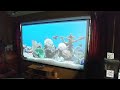 Rollertrol Startup Sequence for Roku on Projector with Alexa & BroadLink RM4 Pro