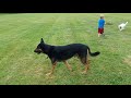 At the park