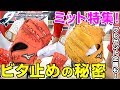 ミズノセレクトナインのキャッチャー＆ファーストミット特集！こだわりの構造がすごすぎた【野球】【グラブ紹介】【ミット紹介】【毎週必ずプレゼント】