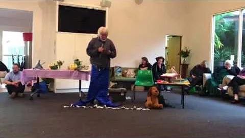 Colin Rolfs' speech at his 70th