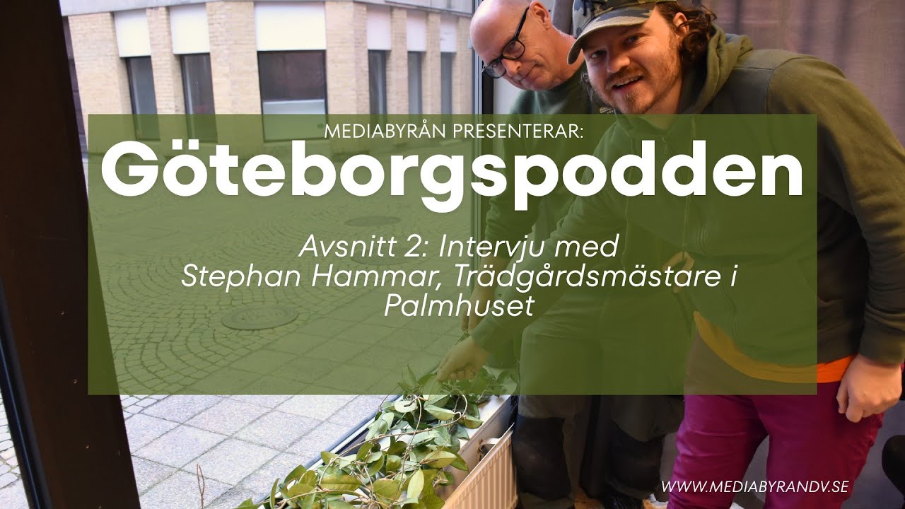 Göteborgspodden avsnitt 2: Intervju med Stephan Hammar, trädgårdsmästare i Palmhuset