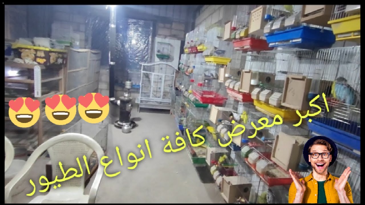 أكبر معرض طيور الزينة في القامشلي ( معرض ابو اسكندر) 0997442413