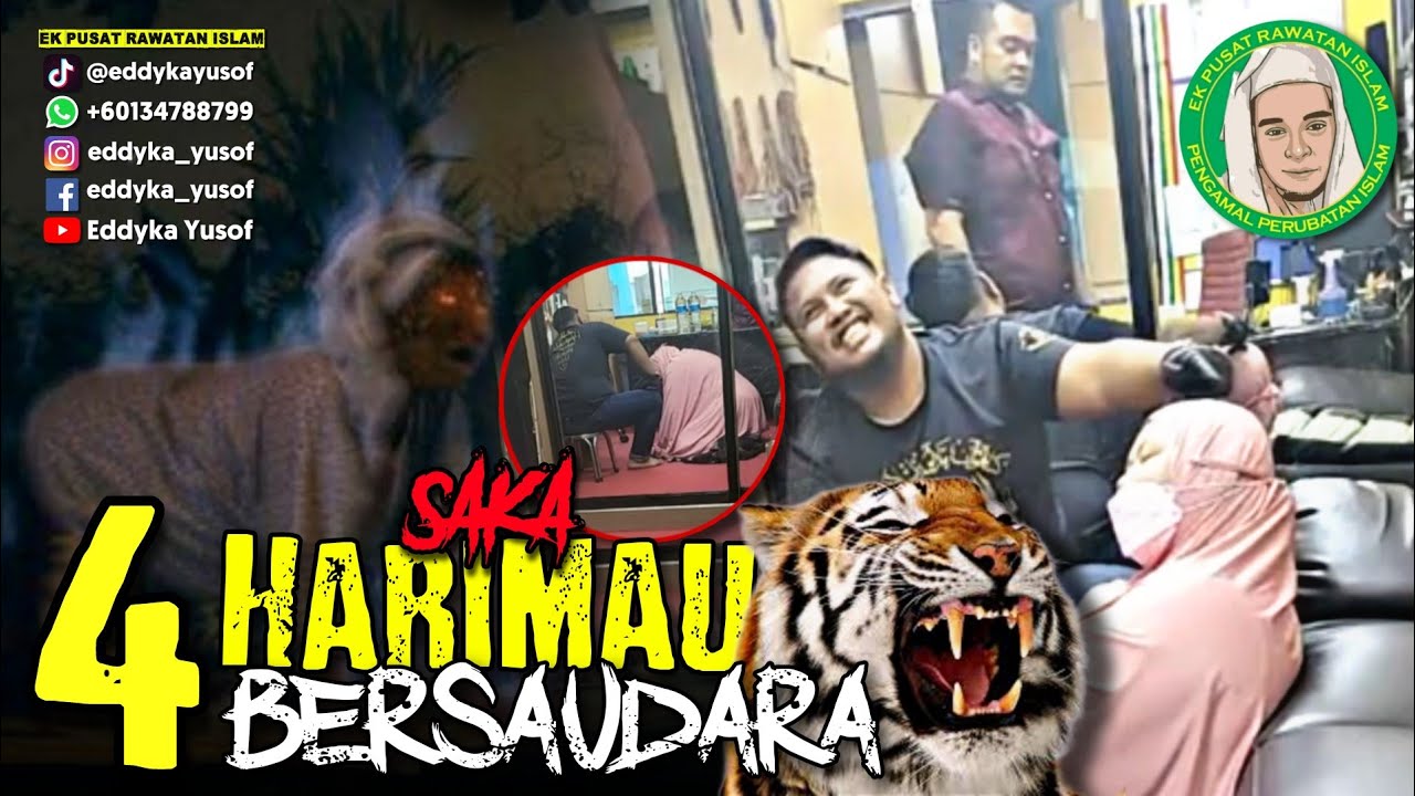 🔴 #halausetan - SAKA 4 HARIMAU BERSAUDARA