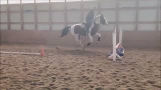 Spotified Aka Jackie Over Fences