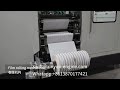 Automatic labeling single roll maxi roll paper packing machine