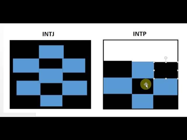 Vinegar MBTI Personality Type: INTP or INTJ?