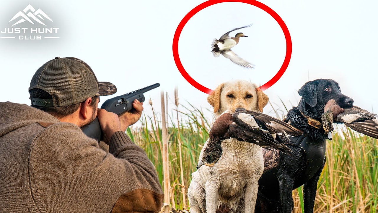 Duck Hunting a Public Marsh Mixed Bag of Ducks YouTube