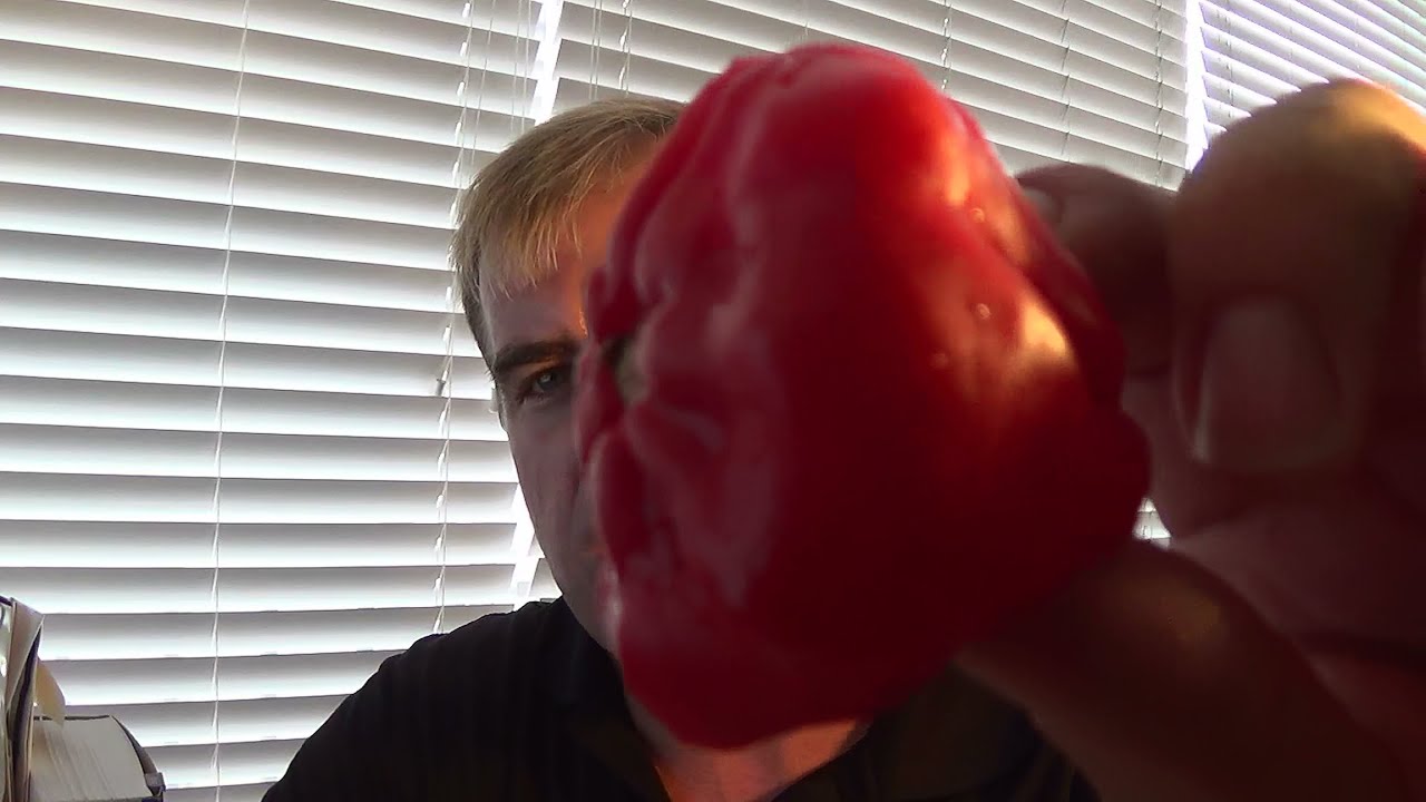 Jamaican Sweet Scotch Bonnet Review for Pepperlover.com