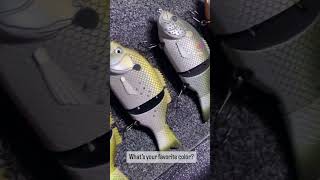 Baitsanity Explorer Gill