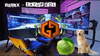 REMIX -  SAYUR KOL (Trending 2018)