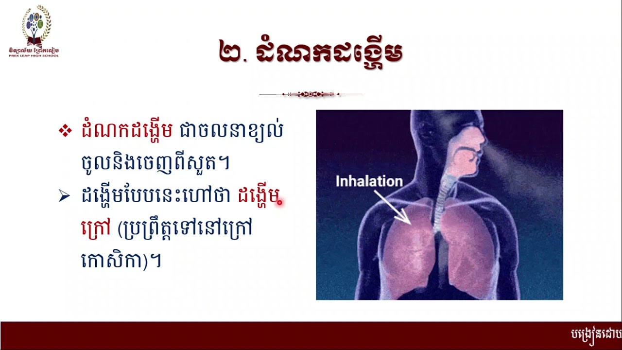 #ជីវវិទ្យាថ្នាក់ទី៨ #ជំពូក៤ ដង្ហើម និងដំណឹកនាំ #មេរៀនទី២ ដង្ហើម