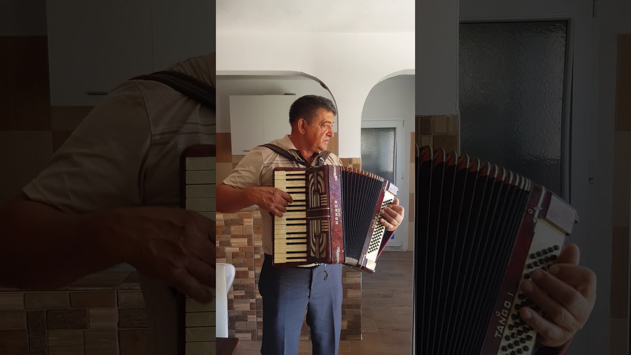 Portofele Nenea Gica Parvu