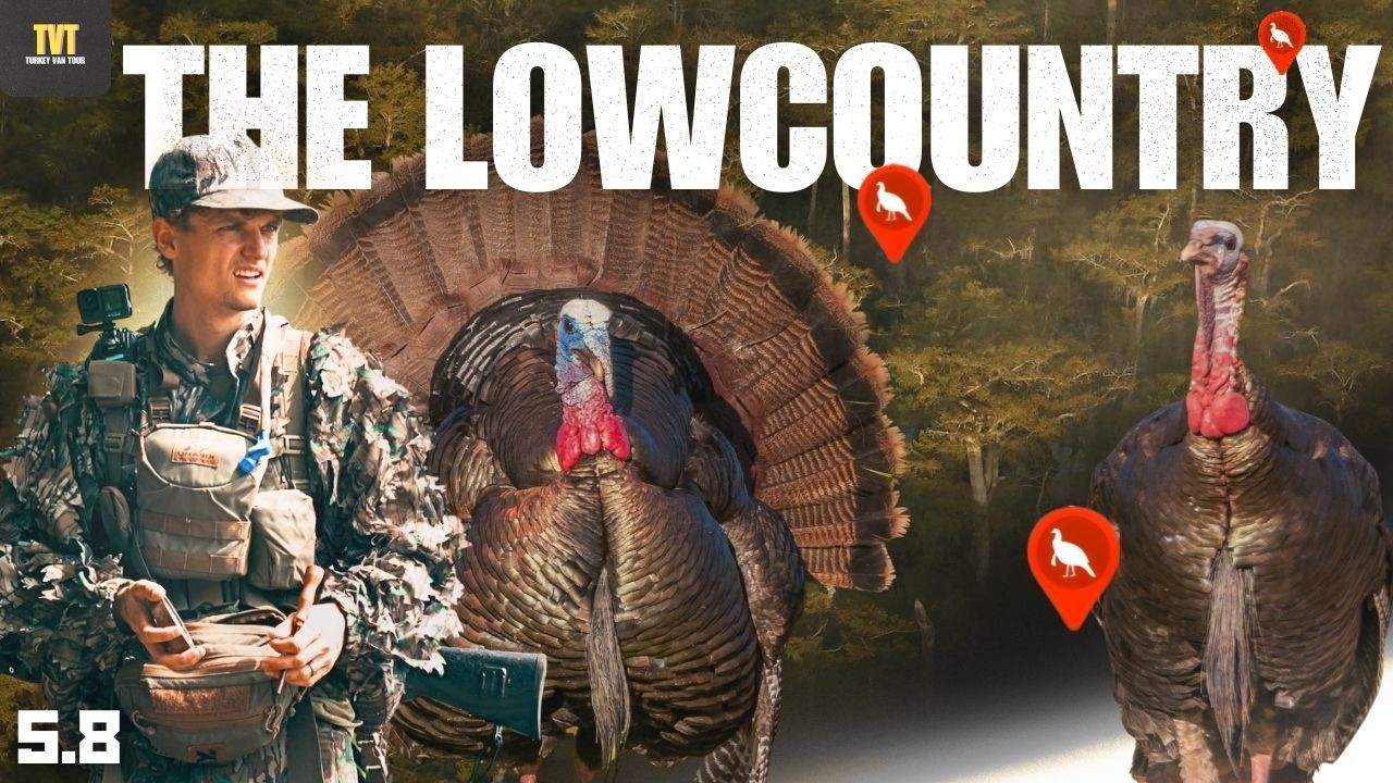 3 БЕЗУМНЫЕ охоты в низинной местности — охота на индейку на общедоступных землях